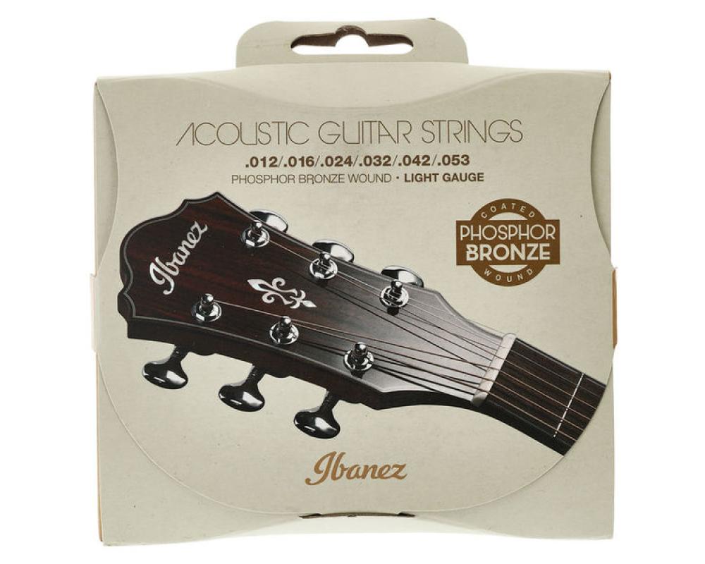Ibanez IACSP6C Acoustic Steel Strings