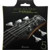 Ibanez IEBS5C E-Bass String Set 045