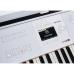 Arturia KeyLab 88 mk3 White