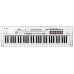 Korg Kross 2-61 White