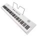 Korg Liano Live!