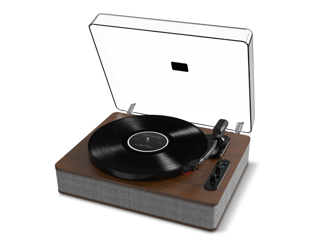 Ion Luxe LP