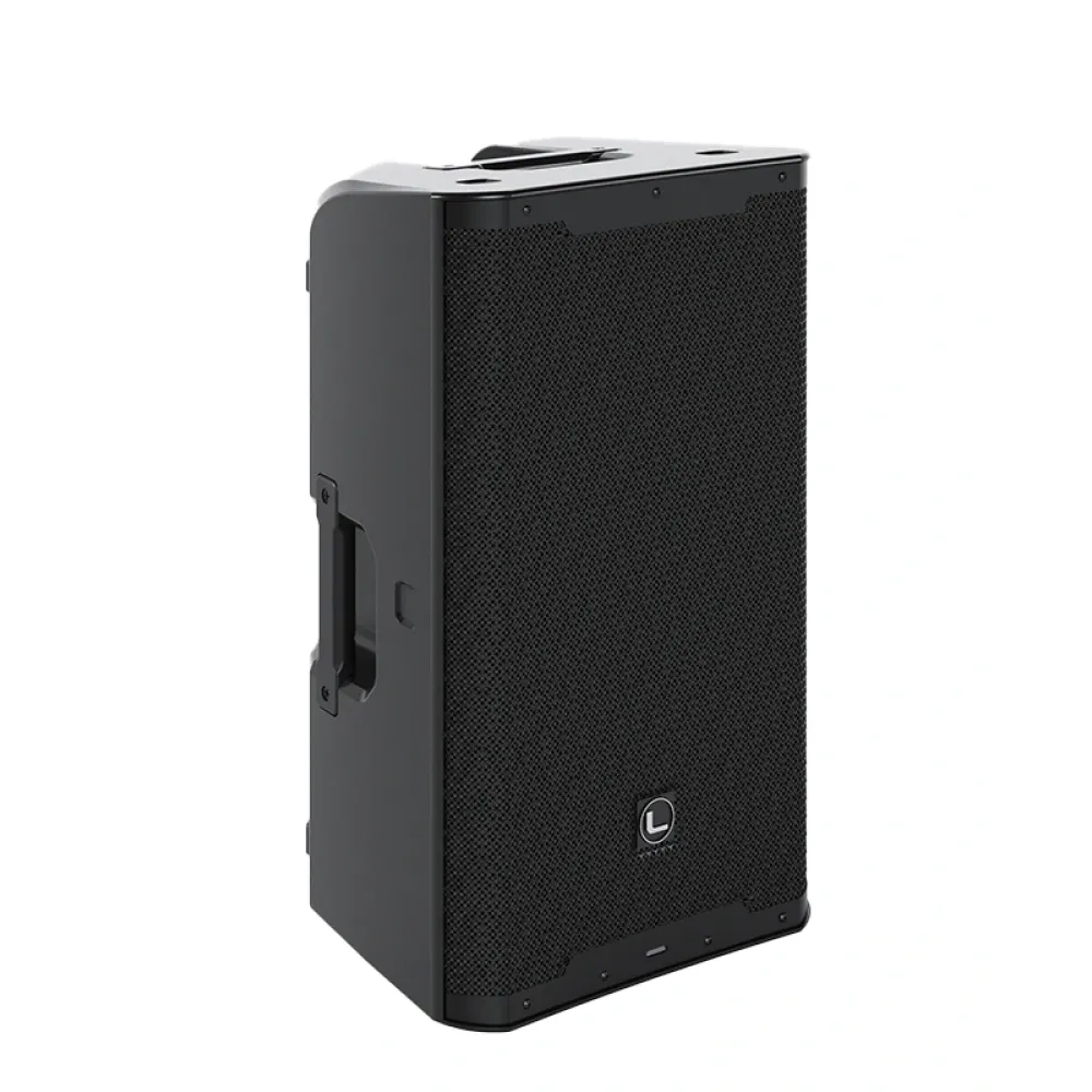 Lynx Pro Audio RX-12