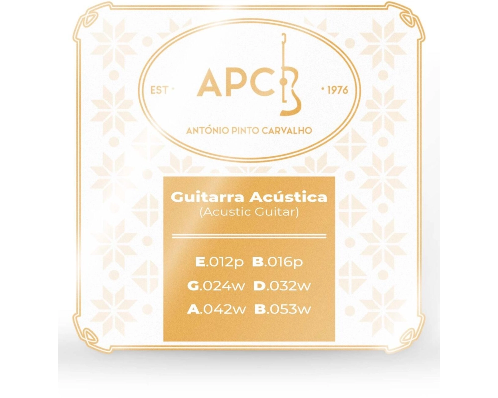 APC Cordas Guitarra Folk