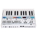 Roland n/vision