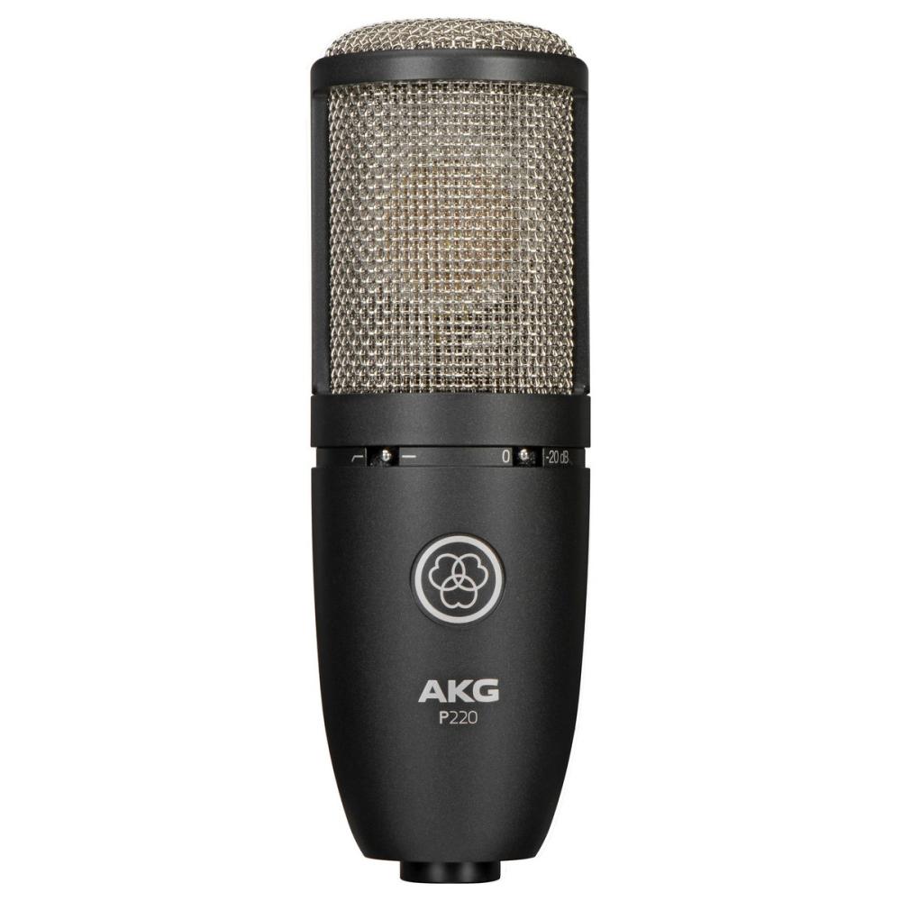 Akg P220