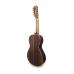 APC Braguesa Luthier c/ Estojo