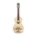 APC Braguesa Luthier c/ Estojo