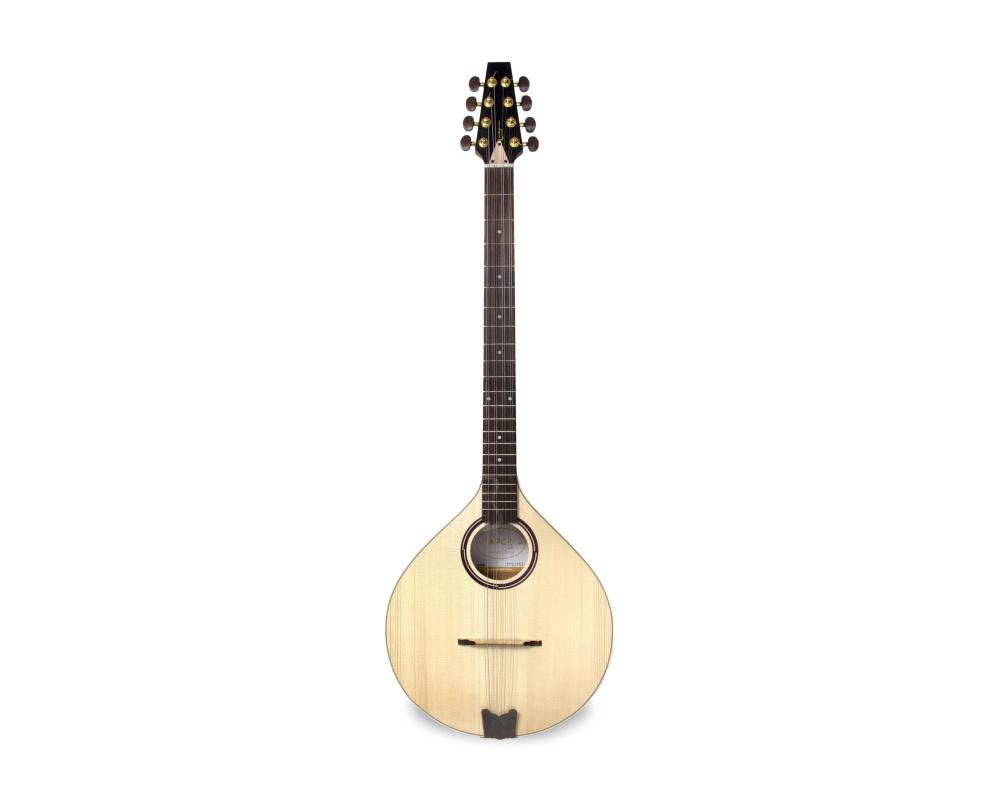APC IRB308 Bouzouki Irlandês