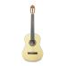 APC 1F Guitarra Flamenca