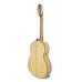 APC 1F Guitarra Flamenca