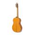 APC 9F Guitarra Flamenca