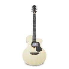 APC EA100 CW
