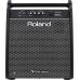 Roland PM-200 Personal Drum Monitor