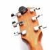 Daddario PW-CT-12 Micro Headstock Tuner