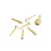 Daddario Injected Molded Bridge Pins with End Pin, Set of 7, Ivory, Ebony Dot
