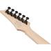 Ibanez RG421DX-TWS Twilight Shade