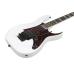 Ibanez RG653DX-WHF White Flat