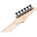 Ibanez RGR662AHBF-WK Weathered black