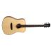Tanglewood TS5 Strada Open Pore Natural Satin