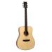 Tanglewood TS5 Strada Open Pore Natural Satin
