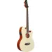 Ibanez TCY10EIVH