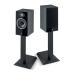 Focal Theva nº1 Black