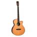 Tanglewood TRS4CE Rosewood