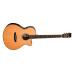 Tanglewood TRS4CE Rosewood