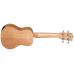 Tanglewood TWT1 Natural Satin