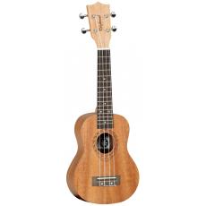 Tanglewood TWT1 Natural Satin