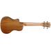 Tanglewood TWT12-E Natural Satin