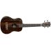 Tanglewood TWT19 Natural Satin