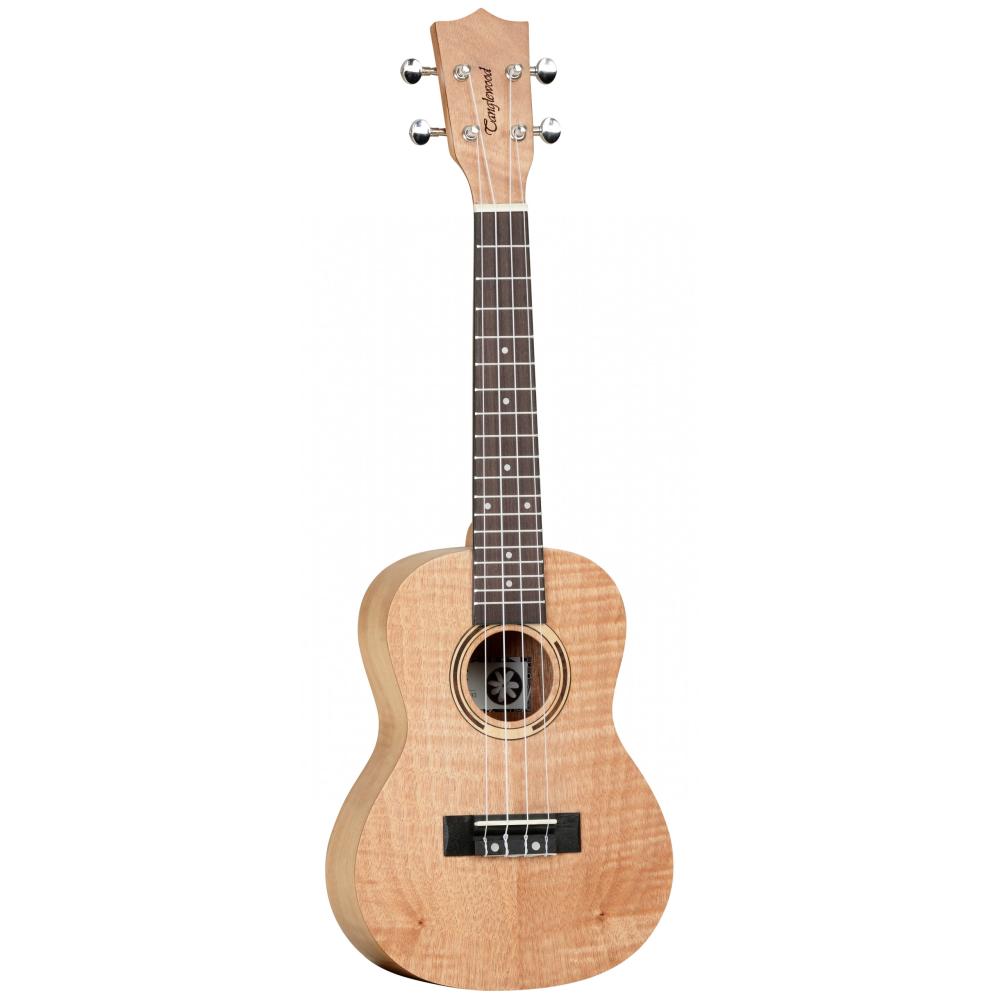 Tanglewood TWT6 Flame Mahogany