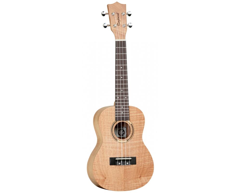 Tanglewood TWT6 Flame Mahogany