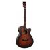 Tanglewood TWX4CEK Koa Winterleaf Exotic Autumn Burst Gloss