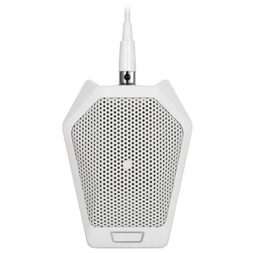 Audio-Technica U891RWb