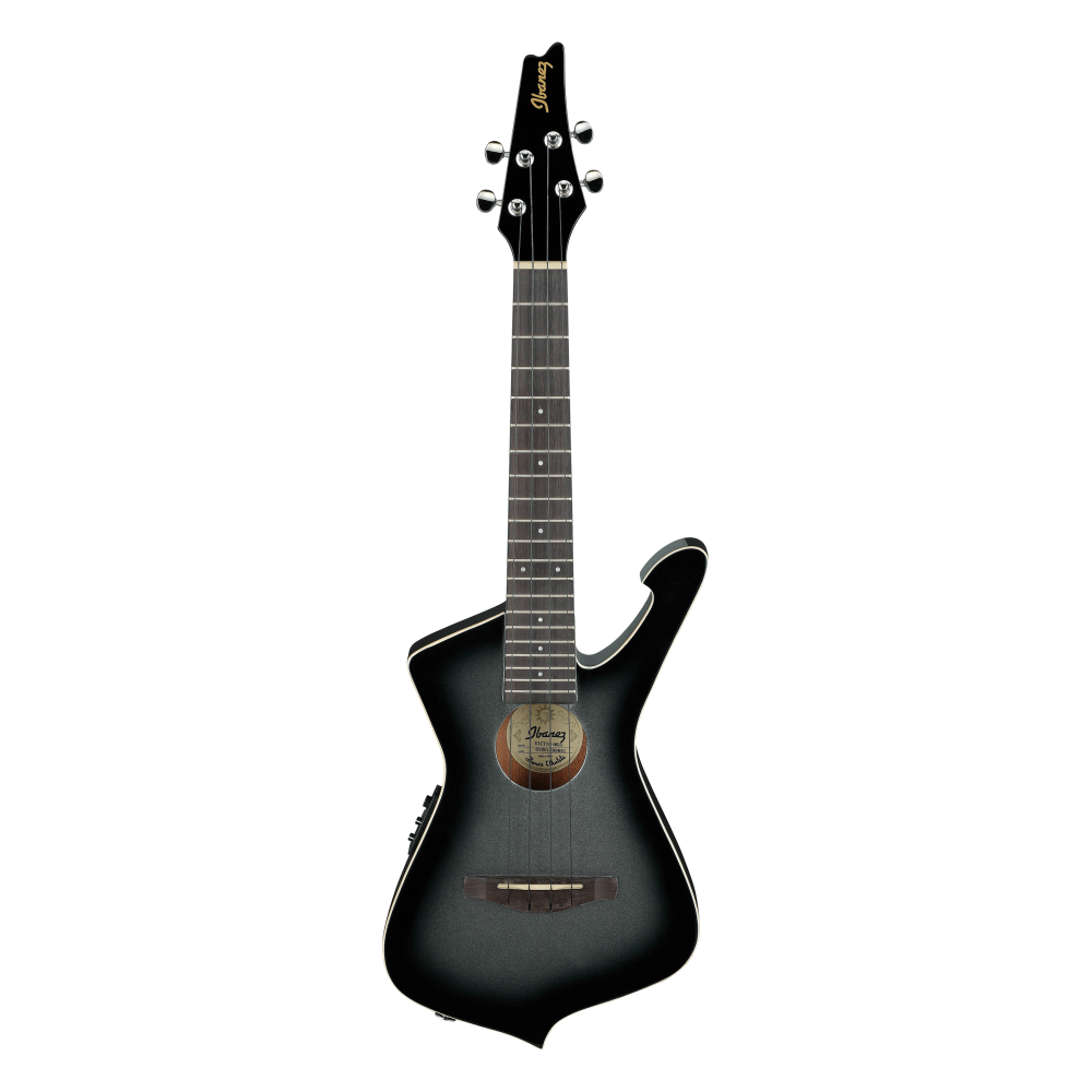 Ibanez UICT10-MGS