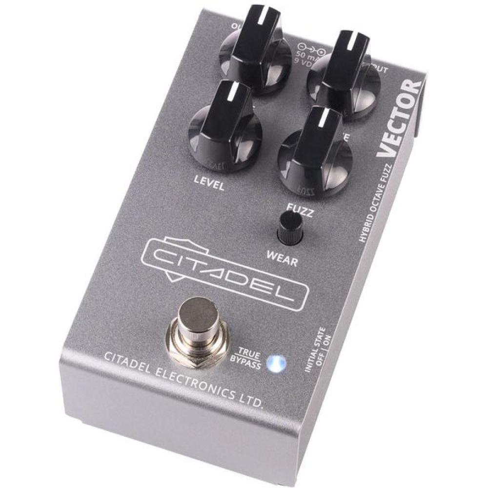 Citadel Vector