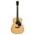 Yamaha FG7 RX Natural high-gloss (polyurethane)