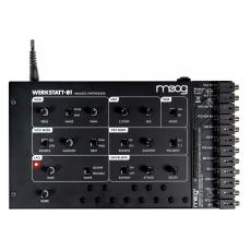 Moog Werkstatt-01 and Expander