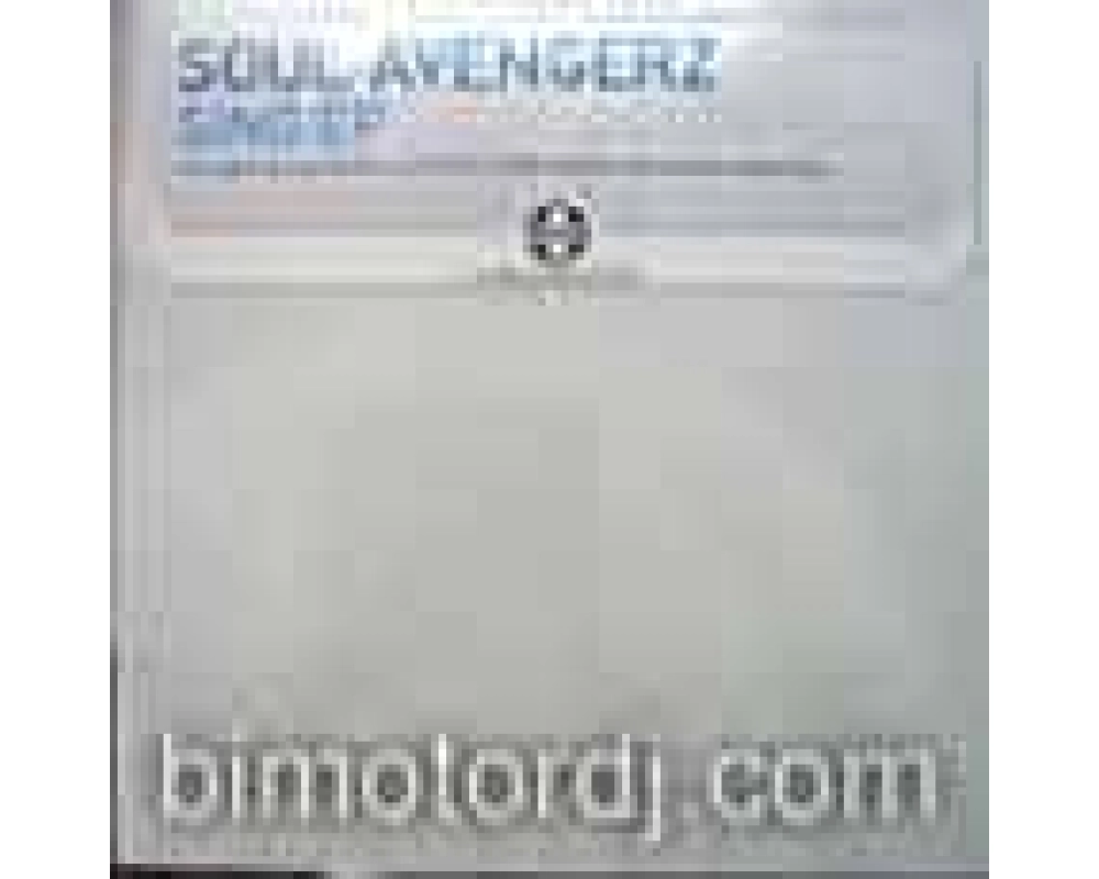soul avengerz - sing ep (disc 2)
