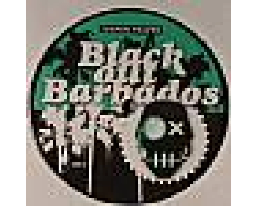 jochen trappe - black out barbados