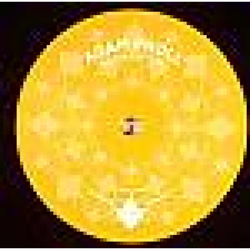 adam proll - adamantido