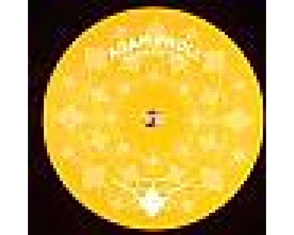 adam proll - adamantido