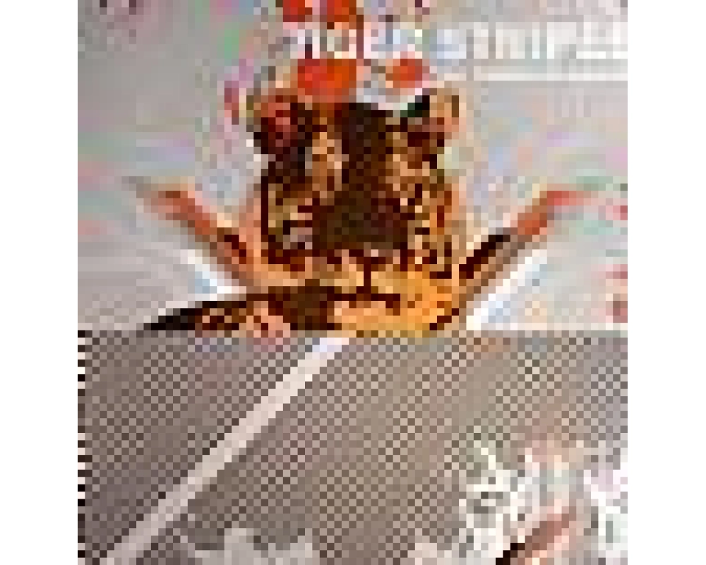 tiger stripes - no tigers in afrika