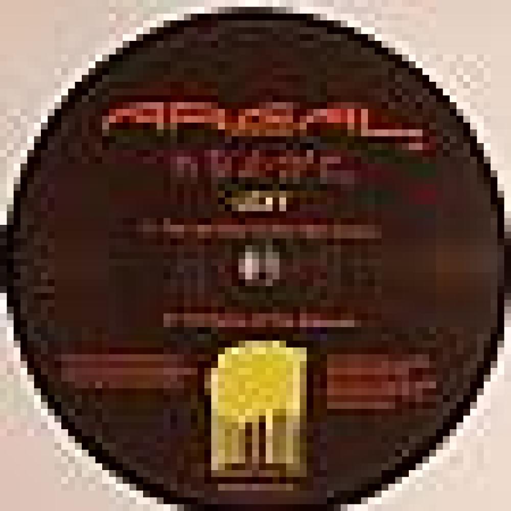 Lexy - The Last Days Of The Glowing Worms