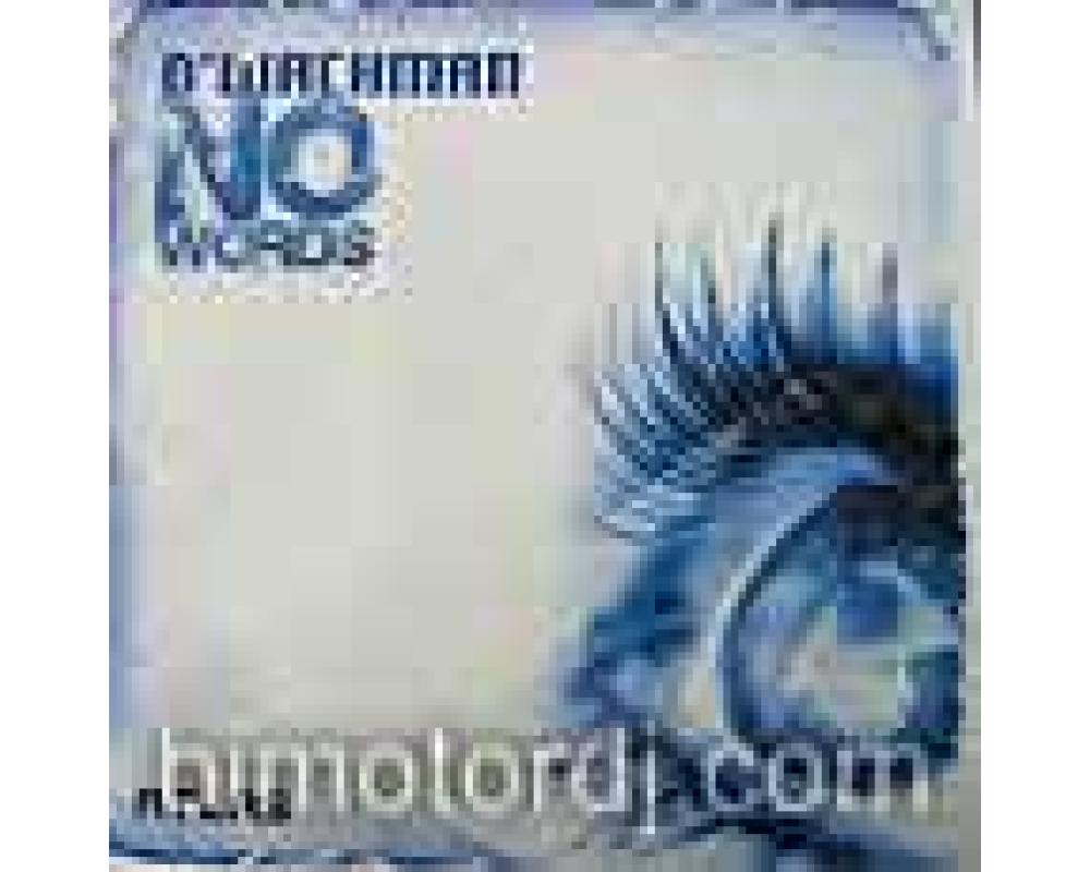 D wachman - no words