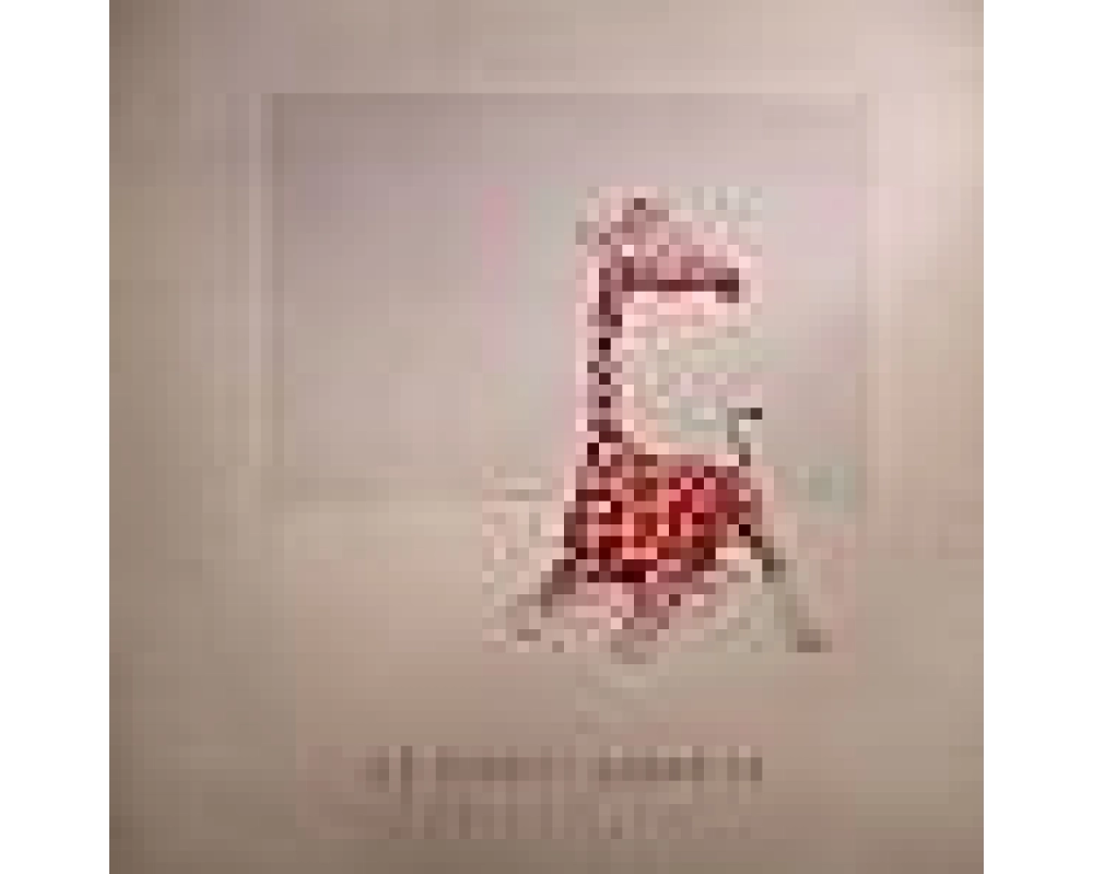 Lee Jones - Safari (Stimming Rmx)