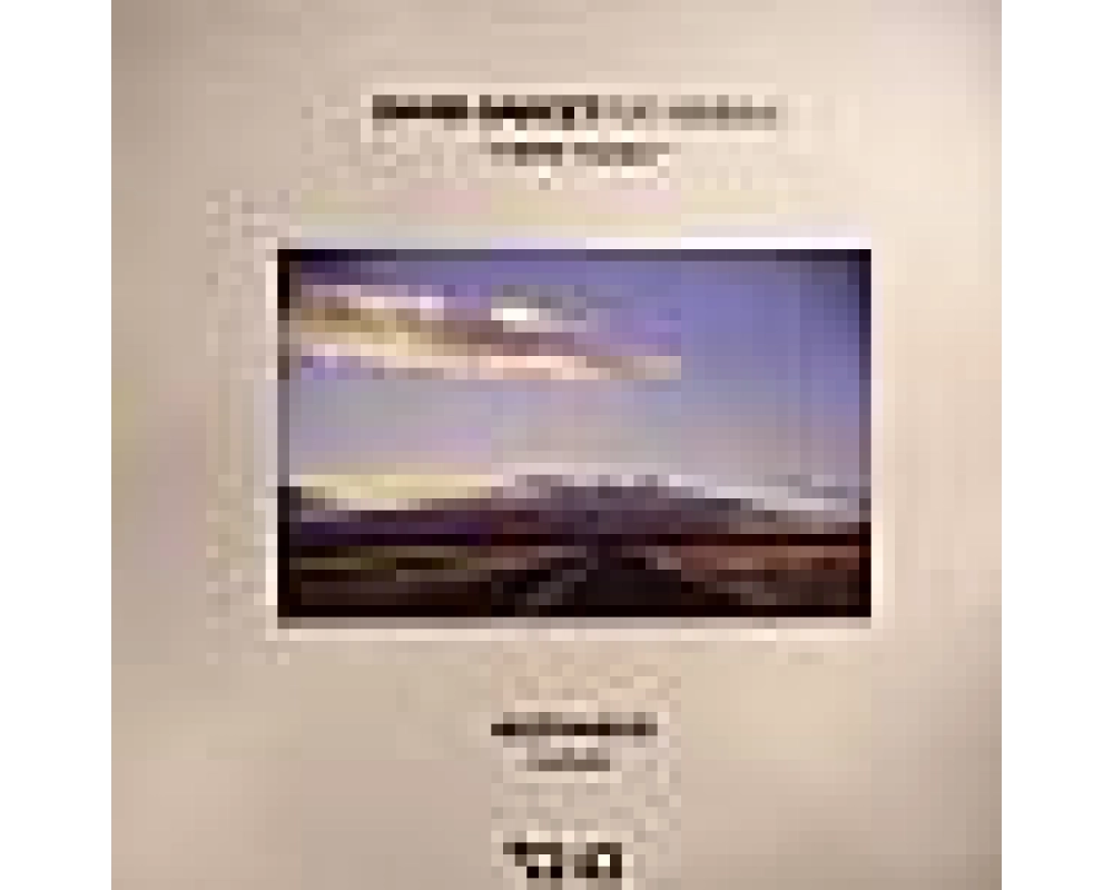 david garcet - here today (Abstraxion rmx)